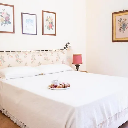 Domomea - Flaminia Villa *