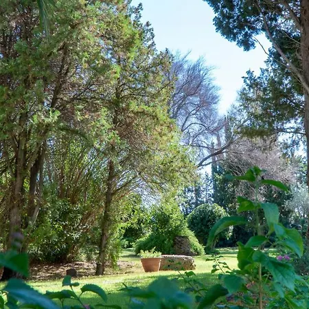 Villa Domomea - Flaminia