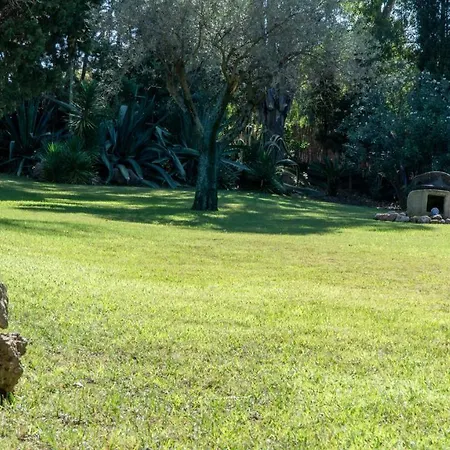 Villa Domomea - Flaminia